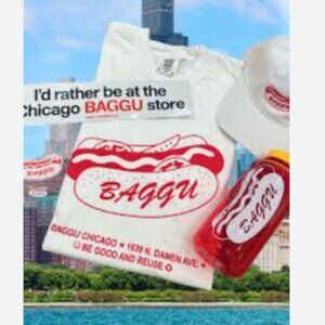 Comfort Colors, Baggu Chicago, Hot Dog T-Shirt Limited Edition Cotton Size M